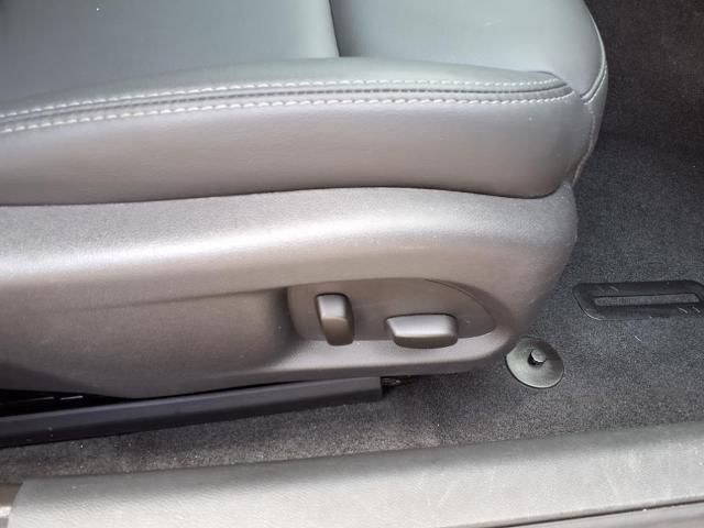 2022 Cadillac CT4 Vehicle Photo in TAMPA, FL 33612-3404