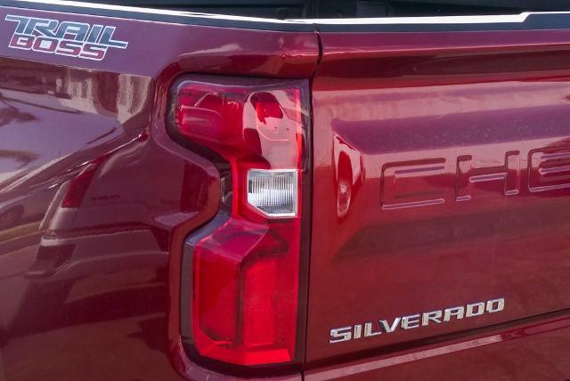 2025 Chevrolet Silverado 1500 Vehicle Photo in VENTURA, CA 93003-8585