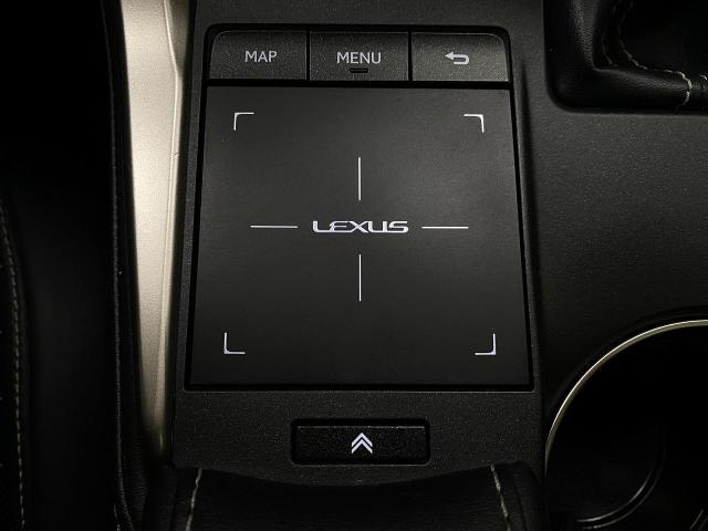 2020 Lexus NX 300 Vehicle Photo in Appleton, WI 54913