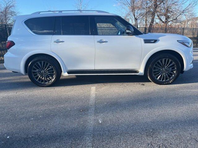 2024 INFINITI QX80 Vehicle Photo in Willow Grove, PA 19090