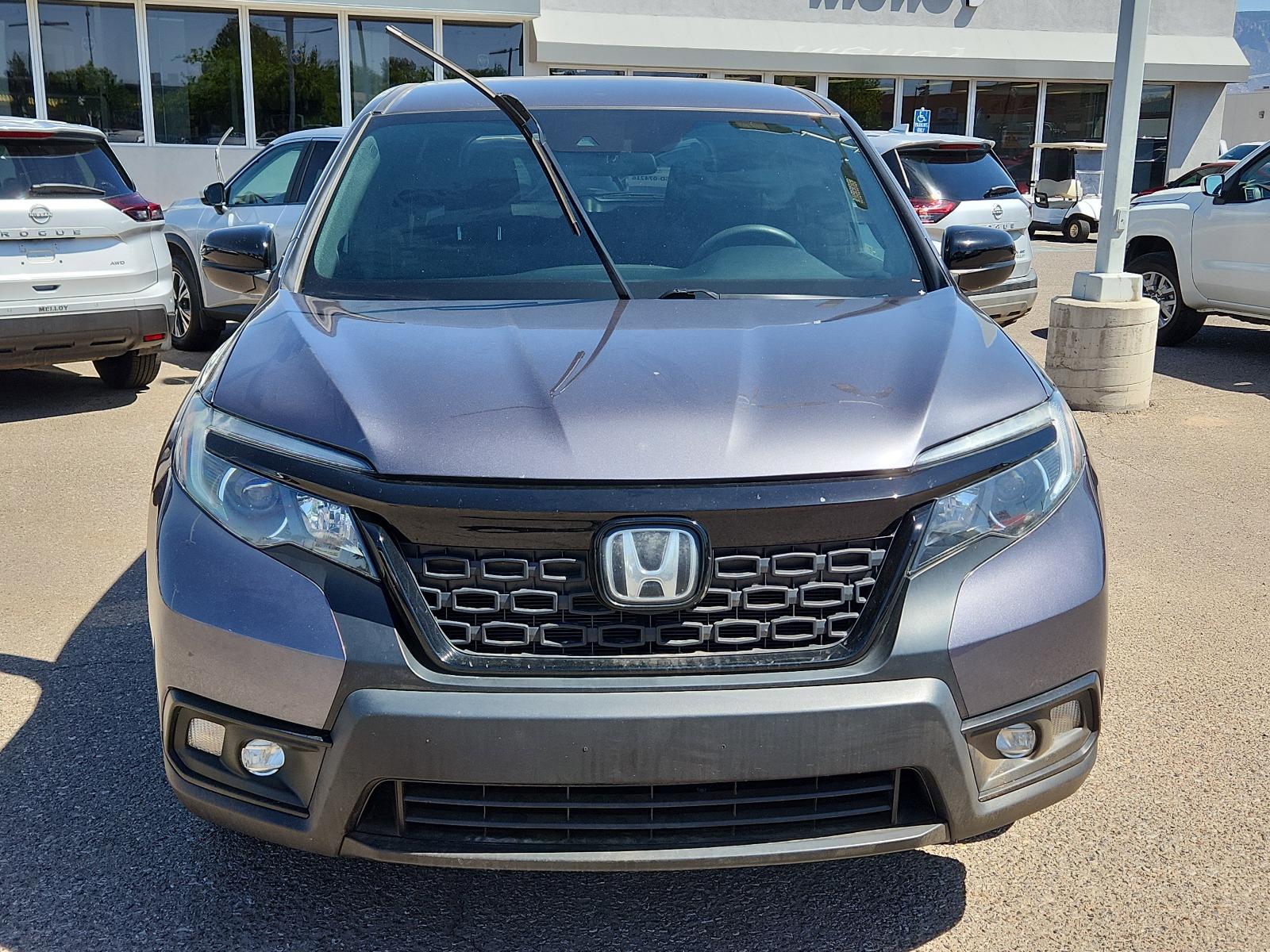 2019 Honda Passport Vehicle Photo in Albuquerque, NM 87110