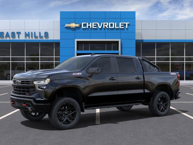 2025 Chevrolet Silverado 1500 Vehicle Photo in Roslyn, NY 11576
