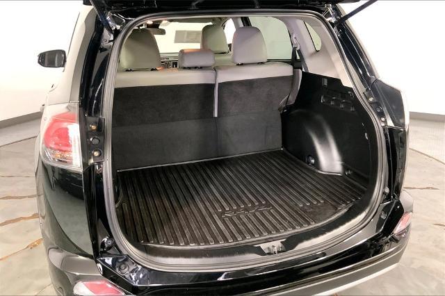 2017 Toyota RAV4 Vehicle Photo in Lees Summit, MO 64086