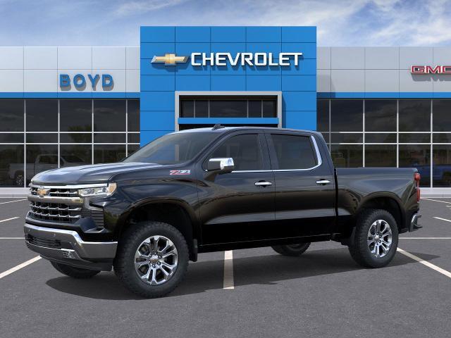2025 Chevrolet Silverado 1500 Vehicle Photo in EMPORIA, VA 23847-1235