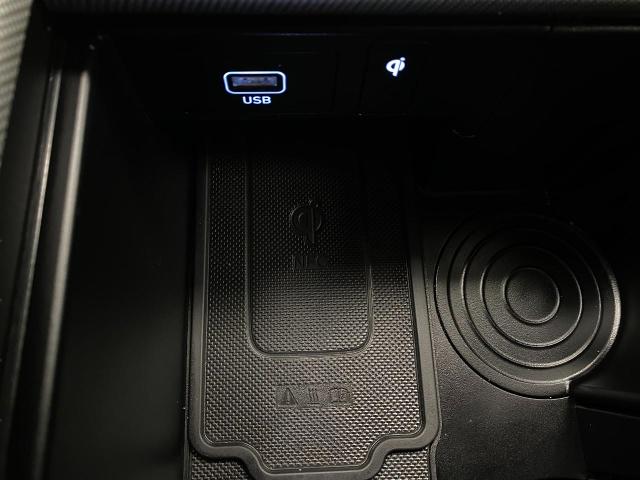 2024 Hyundai PALISADE Vehicle Photo in Appleton, WI 54913