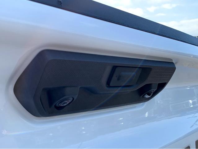 2025 Chevrolet Silverado 1500 Vehicle Photo in BEAUFORT, SC 29906-4218