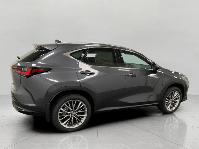 2025 Lexus NX 350h Vehicle Photo in Appleton, WI 54913