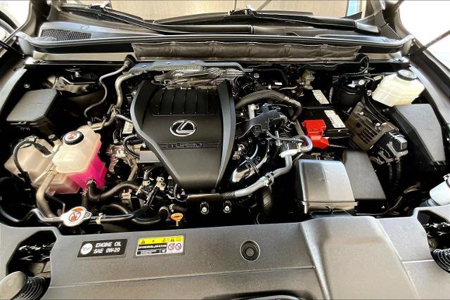 2023 Lexus RX 350 Vehicle Photo in San Antonio, TX 78230