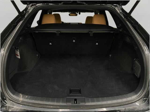 2024 Lexus RX 350 Vehicle Photo in Appleton, WI 54913