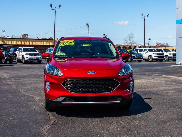 2020 Ford Escape Vehicle Photo in MADISON, IN 47250-1611
