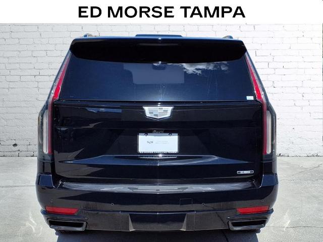 2023 Cadillac Escalade Vehicle Photo in Tampa, FL 33612