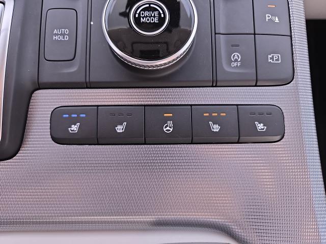 2024 Hyundai Palisade Vehicle Photo in NEDERLAND, TX 77627-8017