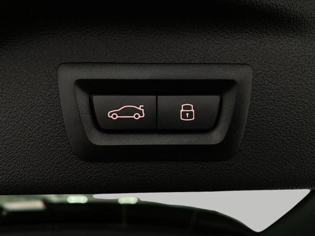 2025 BMW X7 xDrive40i Vehicle Photo in Appleton, WI 54913