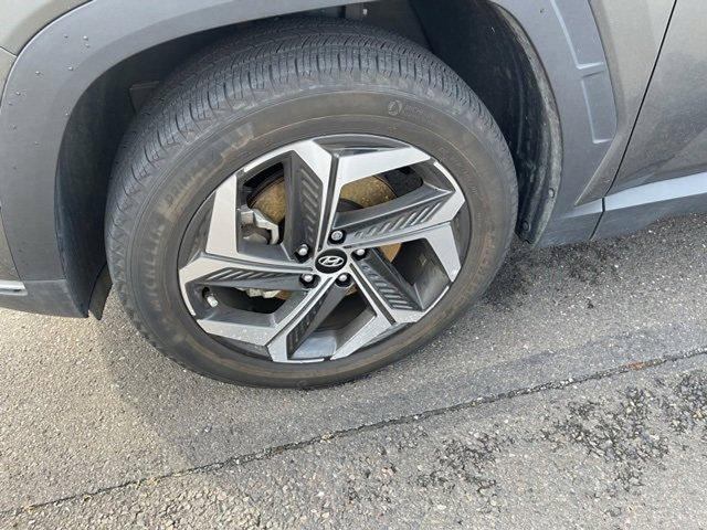 2023 Hyundai TUCSON Vehicle Photo in Philadelphia, PA 19116