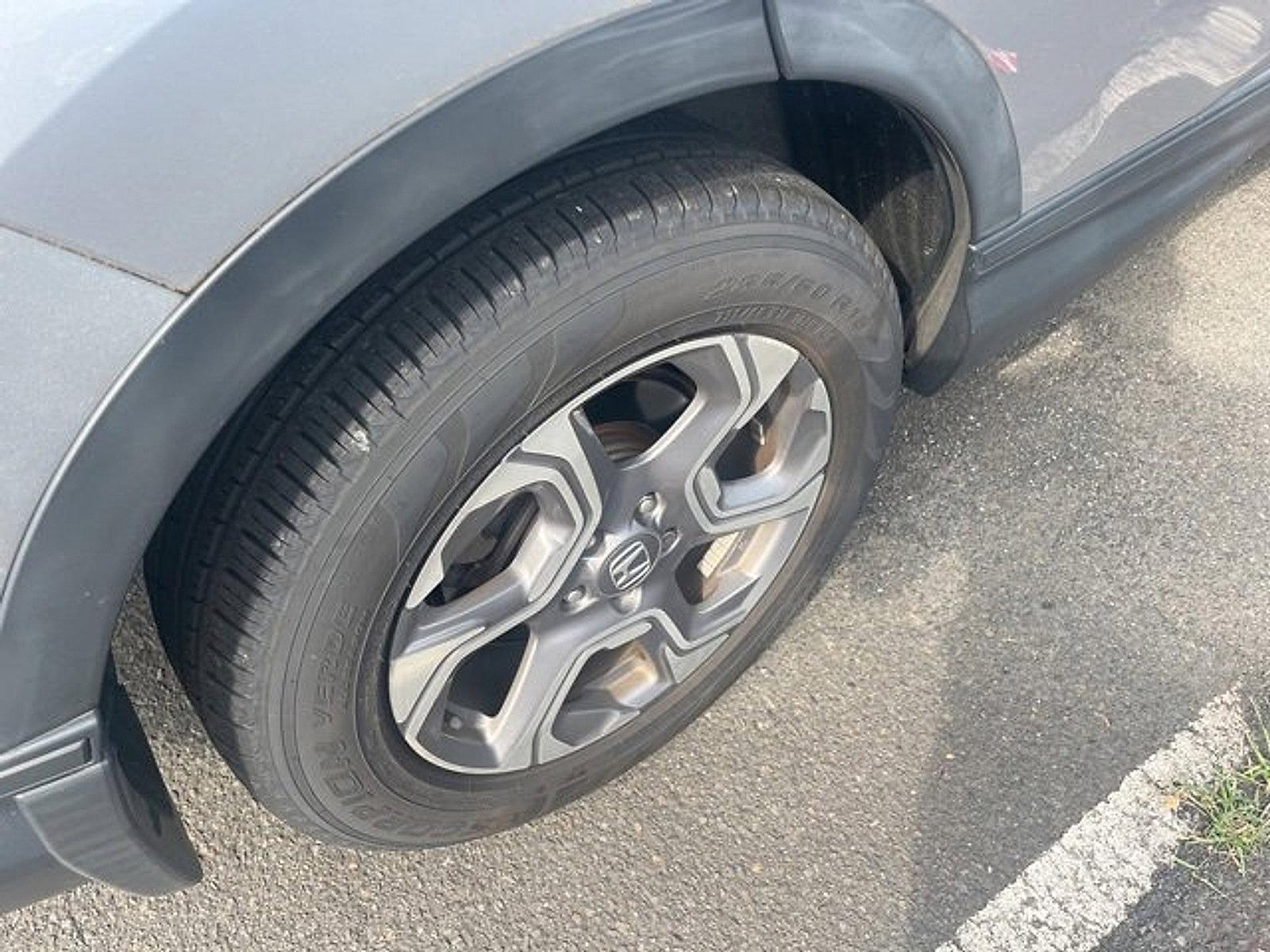 2019 Honda CR-V Vehicle Photo in Trevose, PA 19053
