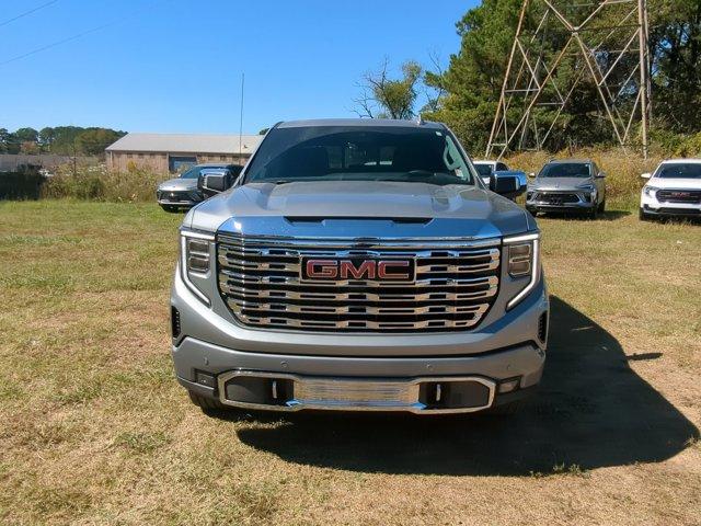 2025 GMC Sierra 1500 Vehicle Photo in ALBERTVILLE, AL 35950-0246