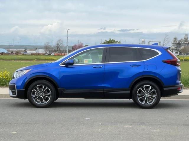 2022 Honda CR-V Vehicle Photo in PITTSBURG, CA 94565-7121