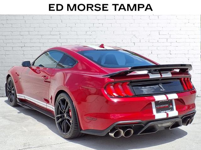 2021 Ford Mustang Vehicle Photo in Tampa, FL 33612