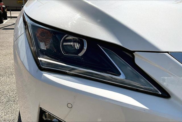 2019 Lexus RX 350 Vehicle Photo in San Antonio, TX 78230