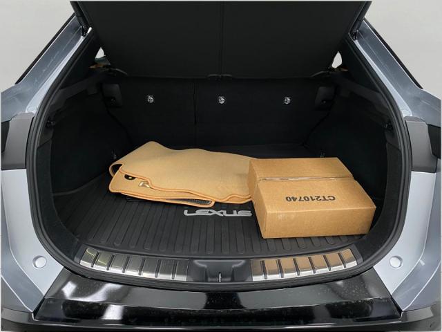 2025 Lexus RZ 300e Vehicle Photo in Appleton, WI 54913