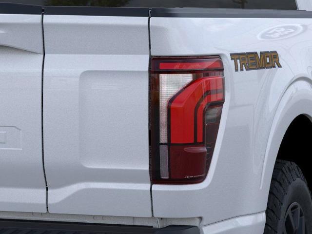 2025 Ford F-150 Vehicle Photo in Weatherford, TX 76087