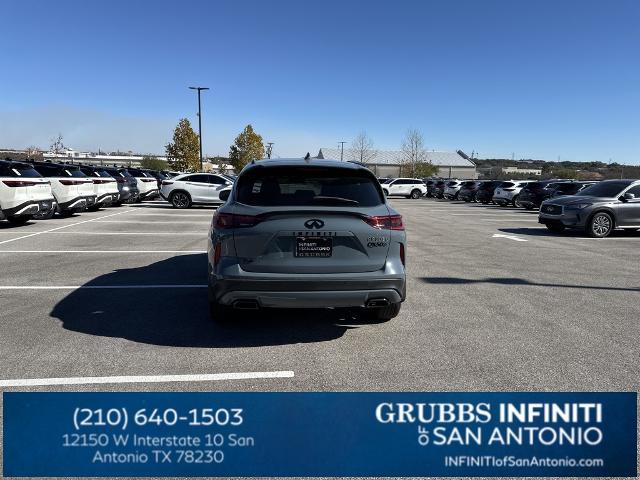 2024 INFINITI QX50 Vehicle Photo in San Antonio, TX 78230