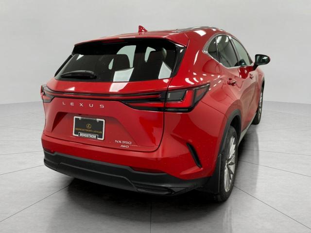 2024 Lexus NX 350 Vehicle Photo in Appleton, WI 54913