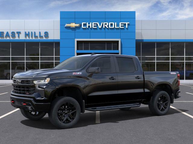 2025 Chevrolet Silverado 1500 Vehicle Photo in Roslyn, NY 11576
