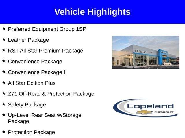2025 Chevrolet Silverado 1500 Vehicle Photo in BROCKTON, MA 02301-7113