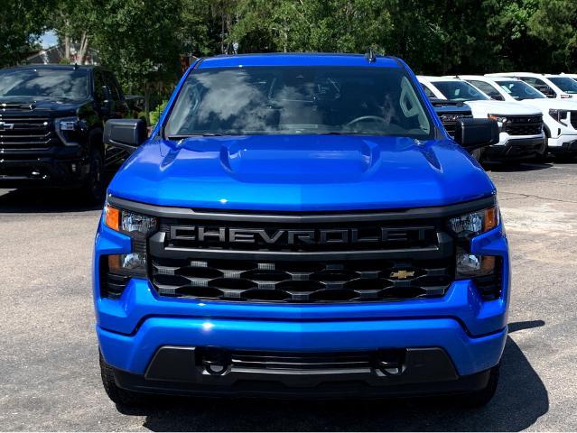 2025 Chevrolet Silverado 1500 Vehicle Photo in BEAUFORT, SC 29906-4218