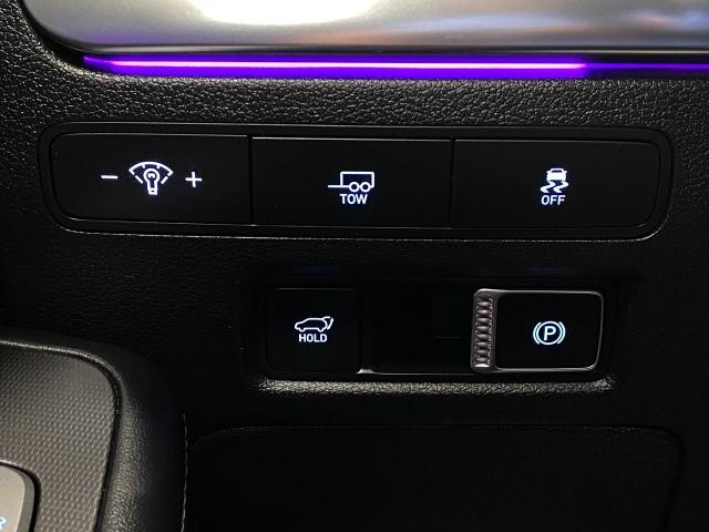 2024 Hyundai PALISADE Vehicle Photo in Appleton, WI 54913
