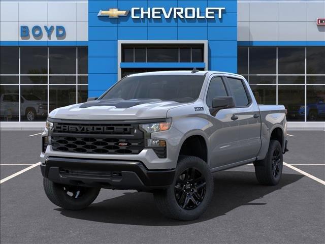 2025 Chevrolet Silverado 1500 Vehicle Photo in EMPORIA, VA 23847-1235