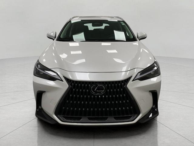 2025 Lexus NX 350h Vehicle Photo in Appleton, WI 54913