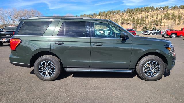 2022 Ford Expedition Vehicle Photo in FLAGSTAFF, AZ 86001-6214