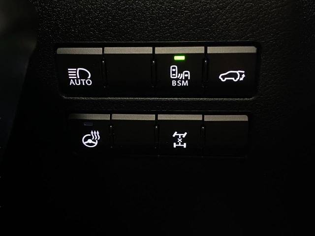 2019 Lexus NX 300 Vehicle Photo in Appleton, WI 54913
