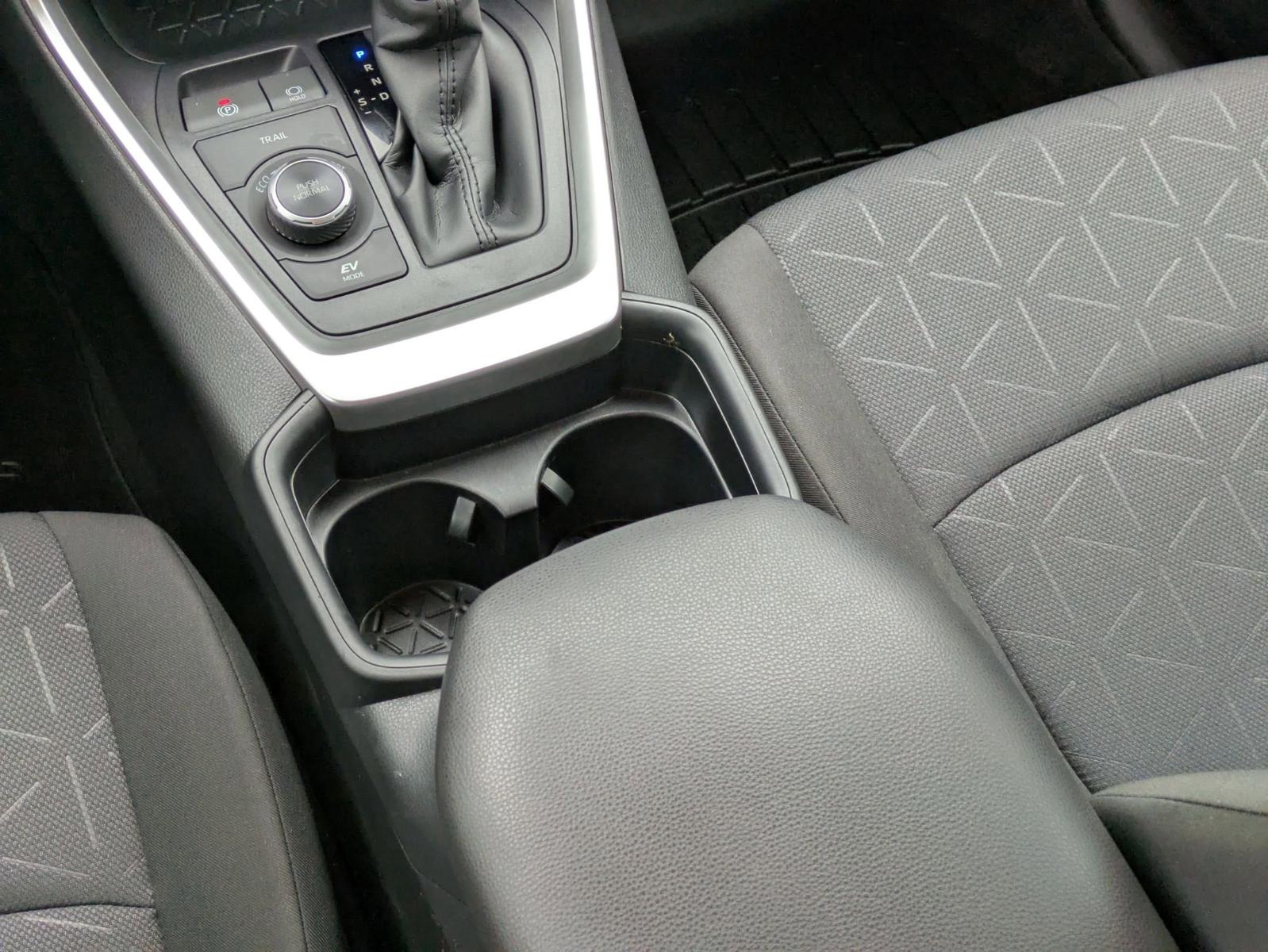 2020 Toyota RAV4 Vehicle Photo in SELMA, TX 78154-1460