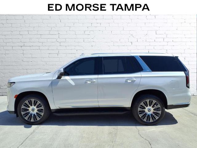 2022 Cadillac Escalade Vehicle Photo in Tampa, FL 33612