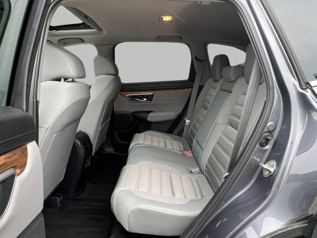 2019 Honda CR-V Vehicle Photo in Appleton, WI 54914