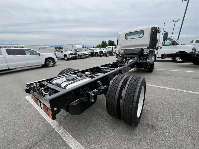 2024 Chevrolet Low Cab Forward 4500 Vehicle Photo in ALCOA, TN 37701-3235