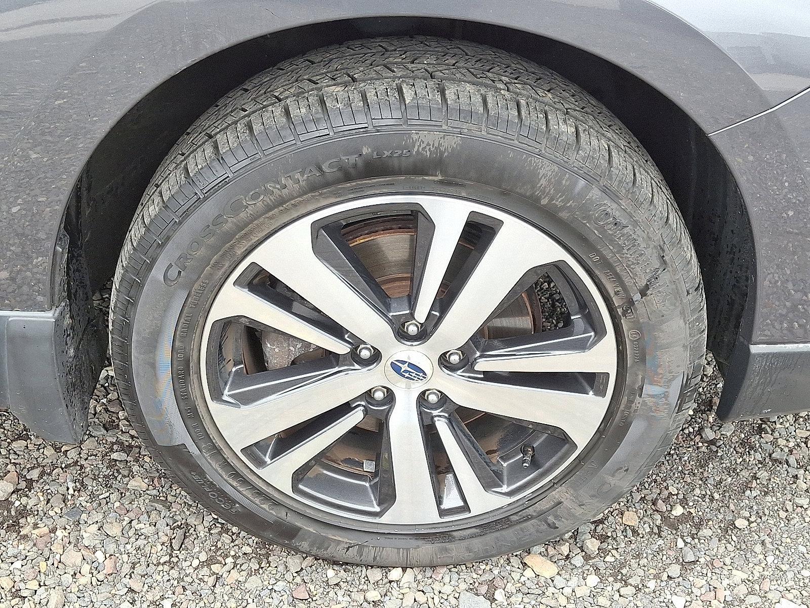 2019 Subaru Outback Vehicle Photo in Trevose, PA 19053