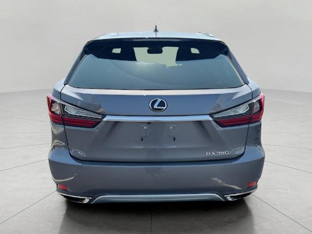 2022 Lexus RX 350 Vehicle Photo in Appleton, WI 54913