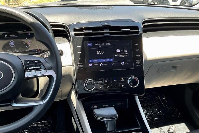 2023 Hyundai TUCSON Vehicle Photo in San Antonio, TX 78230