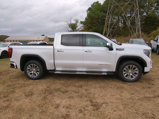 2025 GMC Sierra 1500 Vehicle Photo in ALBERTVILLE, AL 35950-0246