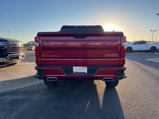 2025 Chevrolet Silverado 1500 Vehicle Photo in GLENWOOD, MN 56334-1123