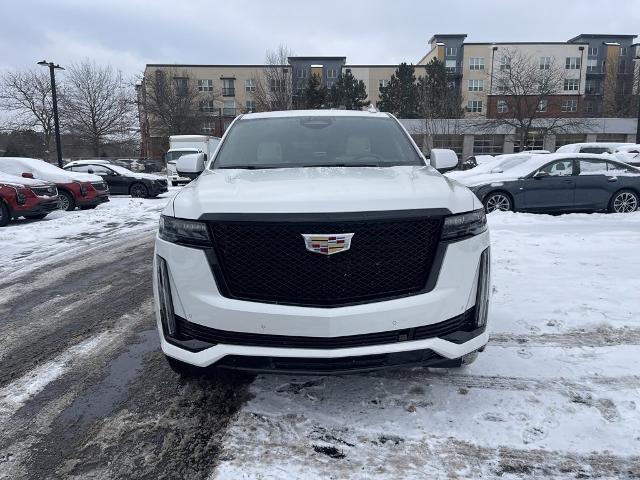 2021 Cadillac Escalade Vehicle Photo in BEACHWOOD, OH 44122-4298