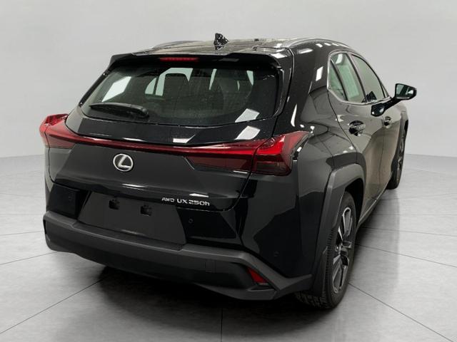 2024 Lexus UX 250h Vehicle Photo in Appleton, WI 54913