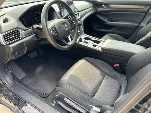 2019 Honda Accord Sedan Vehicle Photo in San Antonio, TX 78230