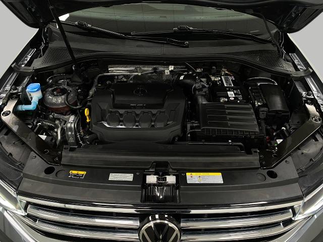 2023 Volkswagen Tiguan Vehicle Photo in Appleton, WI 54913