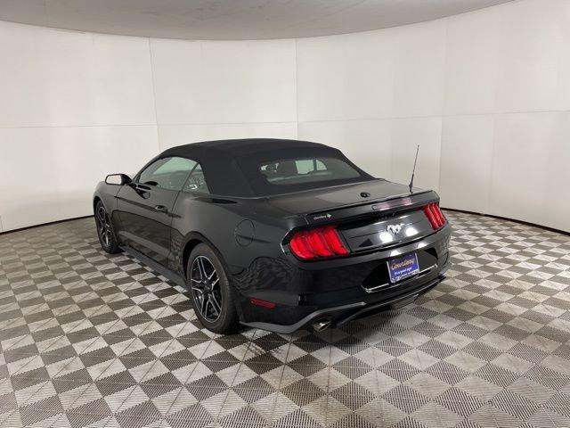 2022 Ford Mustang Vehicle Photo in PHOENIX, AZ 85014-3381