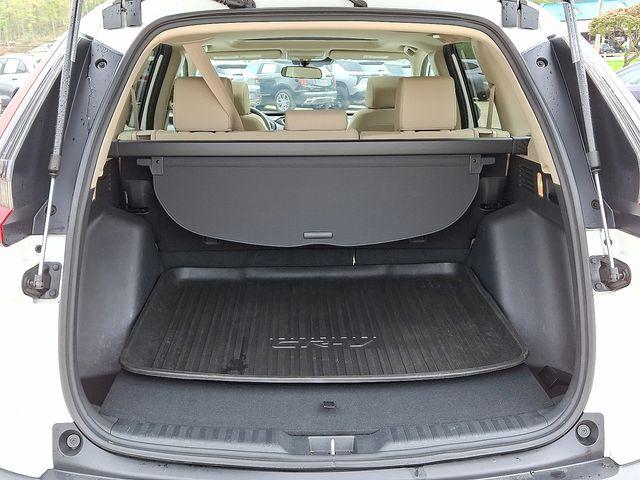 2022 Honda CR-V Vehicle Photo in PAWLING, NY 12564-3219